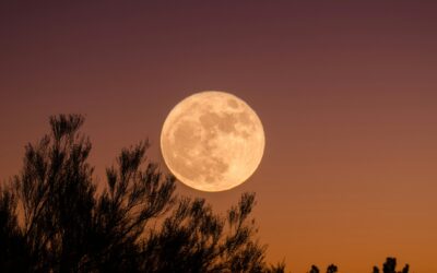 Full Moon in Capricorn 18°