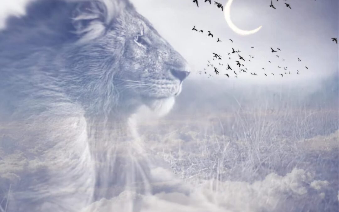 New Moon in Leo: Shine Bright, But Stay Grounded