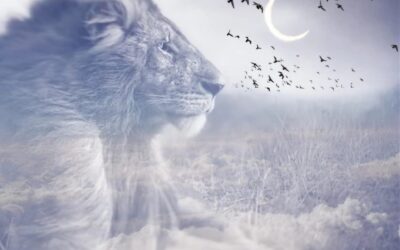 New Moon in Leo: Shine Bright, But Stay Grounded