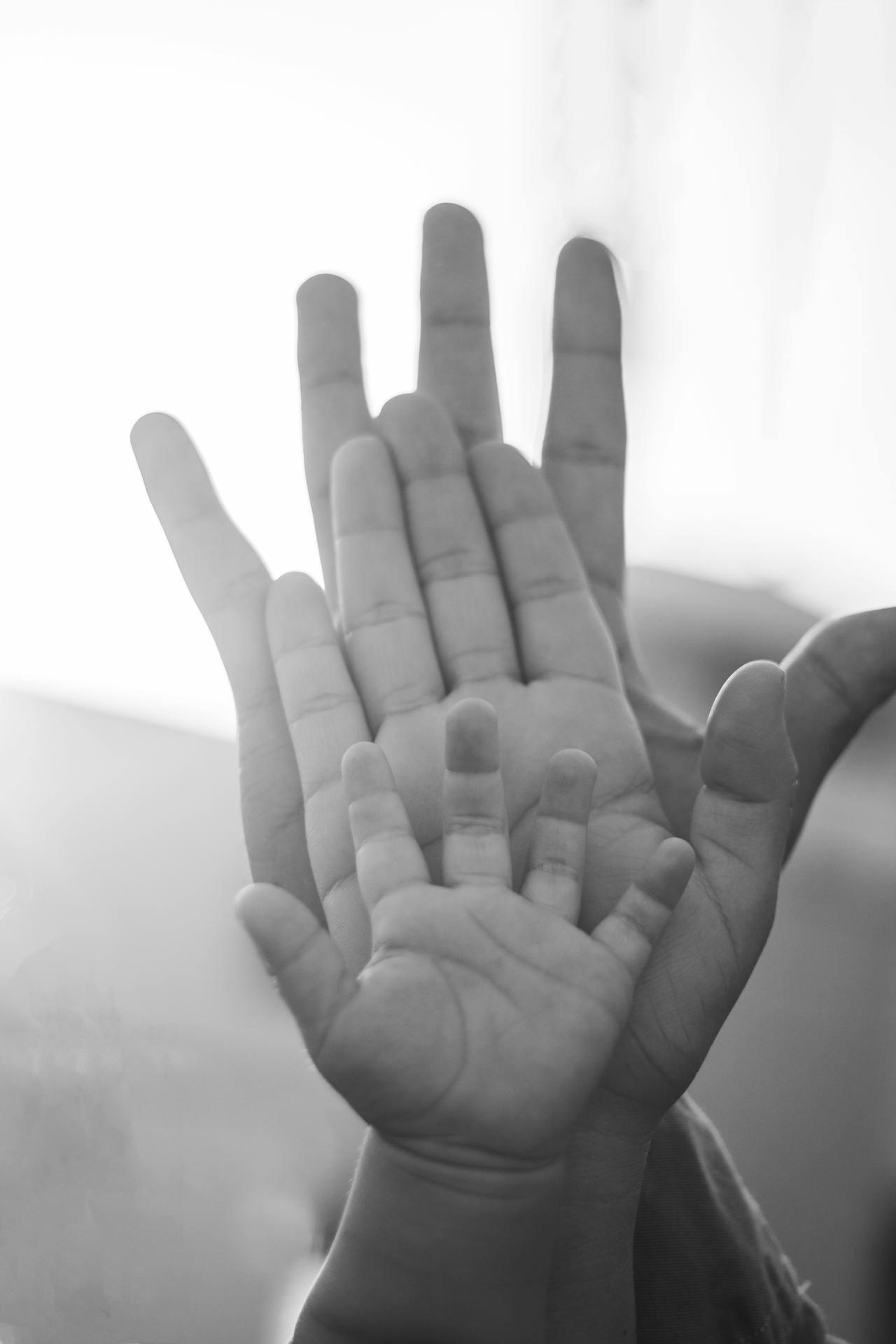A child’s hand resting in the mother’s palm, both held by the father’s hand symbolizing ancestry, lineage, and family roots.