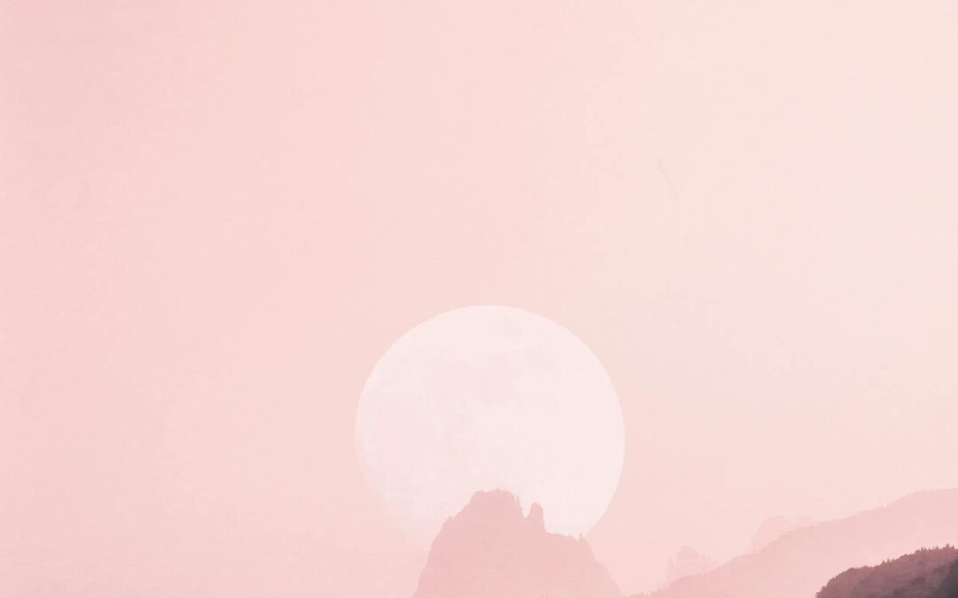 Full Moon in Aquarius 17°