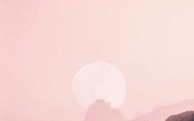 Full Moon in Aquarius 17°