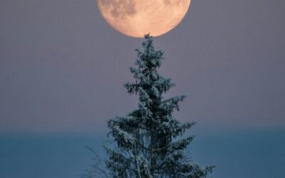 Full Moon in Cancer: Finding Home Within