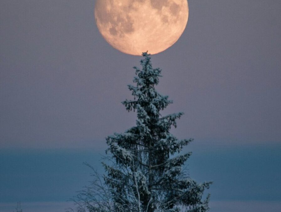 Full Moon in Cancer: Finding Home Within